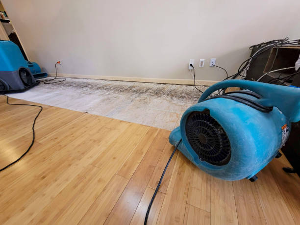 Professional Water Removal technician working in Cuyahoga Falls, OH